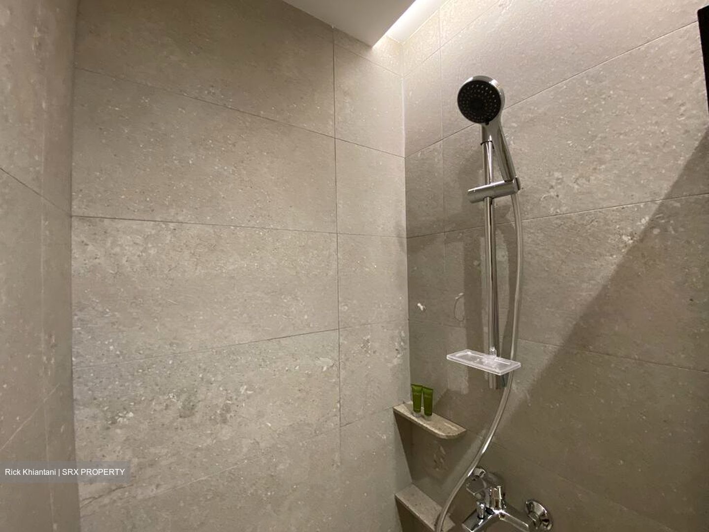 Mount Elizabeth Link (D9), Apartment #584030731